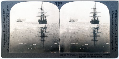 Arctic Whaling Expedition Stereoview