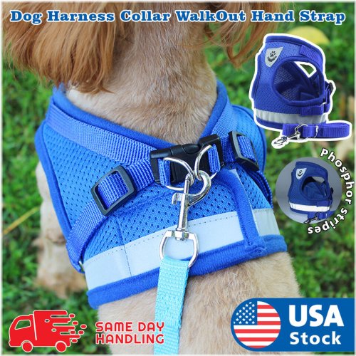 AirFlow Pet Harness Set