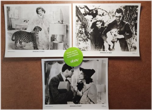 Silver Screen Memories Collection