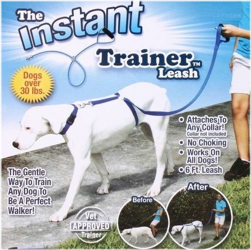 Easy Walk Leash & Collar Kit