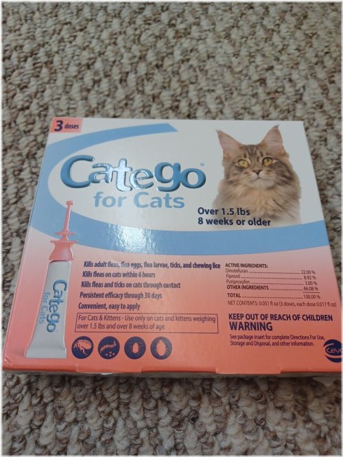 Feline Shield Flea Defense