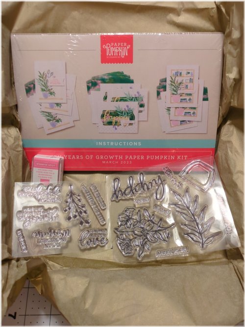 Embossed Impressions Kit
