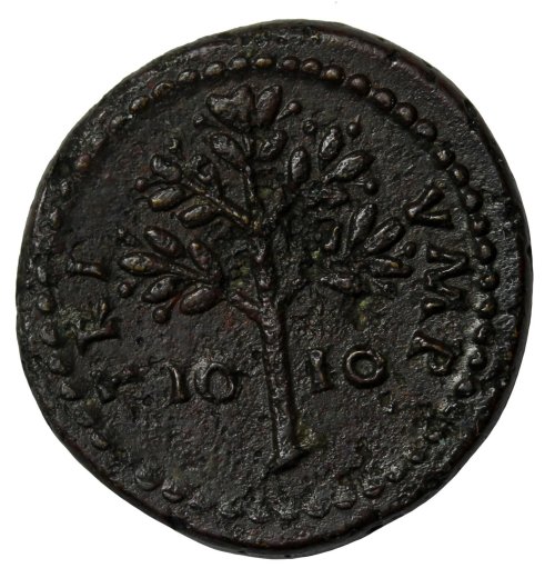 Domitian Anonymous Bronze Tessera