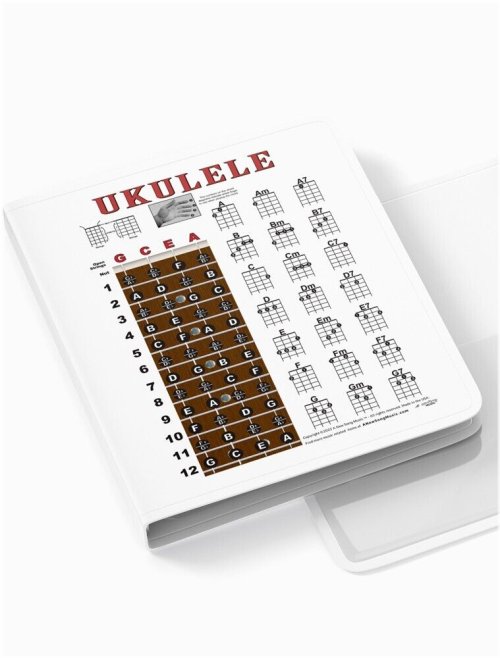 Ukulele Chord Master: Your Ultimate Guide to Playing Chords on Soprano and Concert Ukuleles