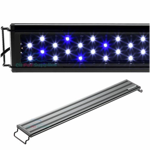 Marine Glow LED Lights for Aquariums