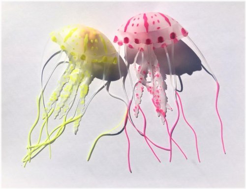 Jellyfish Habitat Kit