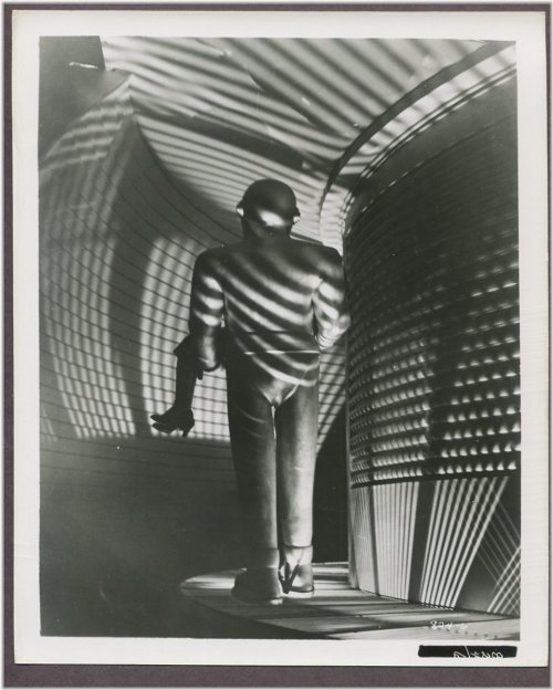 Timeless Captures: 1950s Monochrome Memories