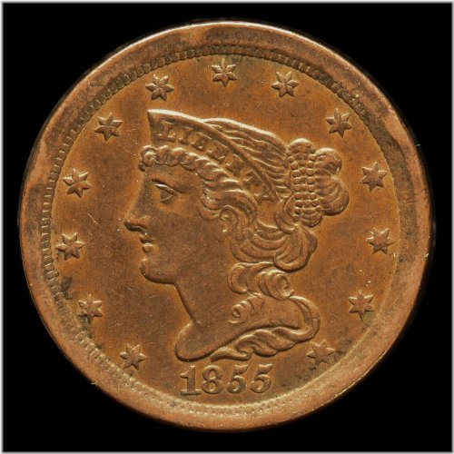 Copper Braided Beauty