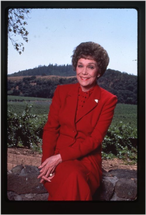 Vineyard Serenity 1987 Transparency