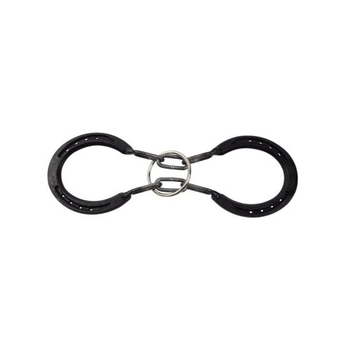 Horseshoe Mind Bender Puzzle