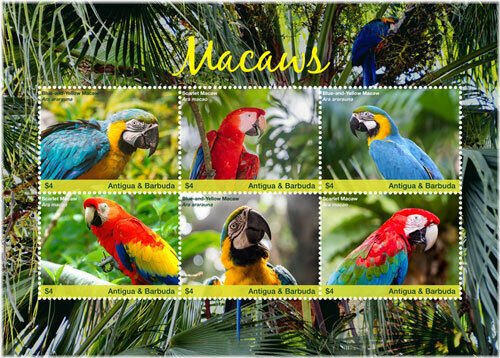 Rainbow Wings: Antigua's Majestic Macaws - Limited Edition Stamp Set