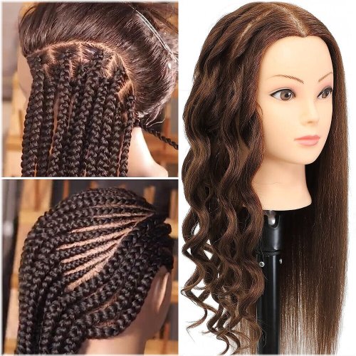 Mane Master Cosmetology Training Doll