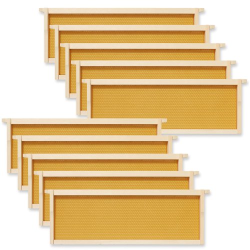 WaxCoat Beehive Frames - 6-1/4 inch