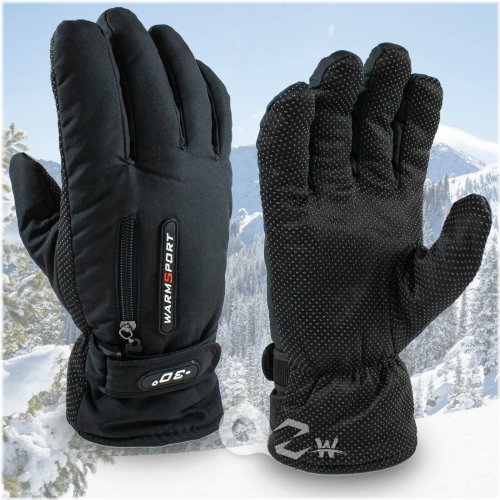 ArcticShield Gloves