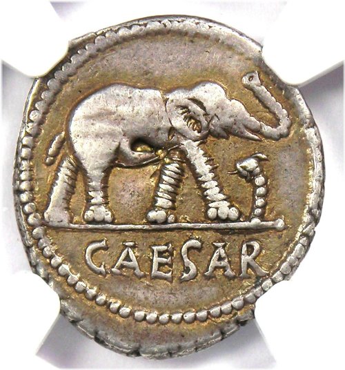 Silver Elephant Denarius - Julius Caesar 49 BC