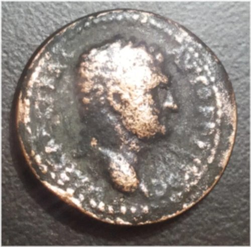 Herodian Dynasty Agrippa II Titus Bronze Coin