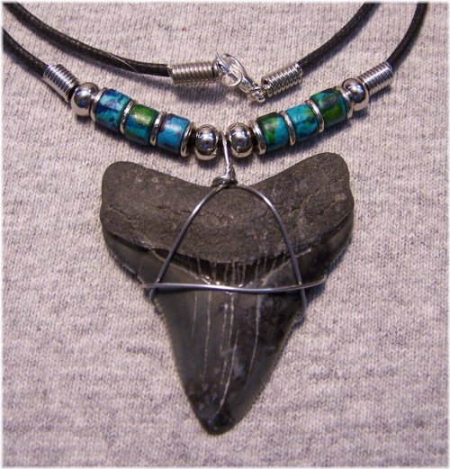 Ancient Shark Tooth Necklace