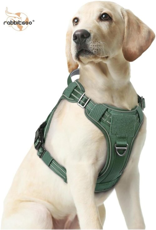 Commander Canine Harness