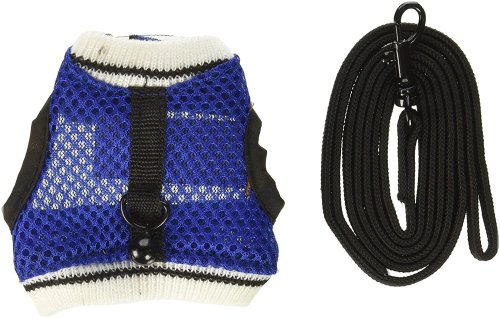 Pet Trekker Harness and Leash Set