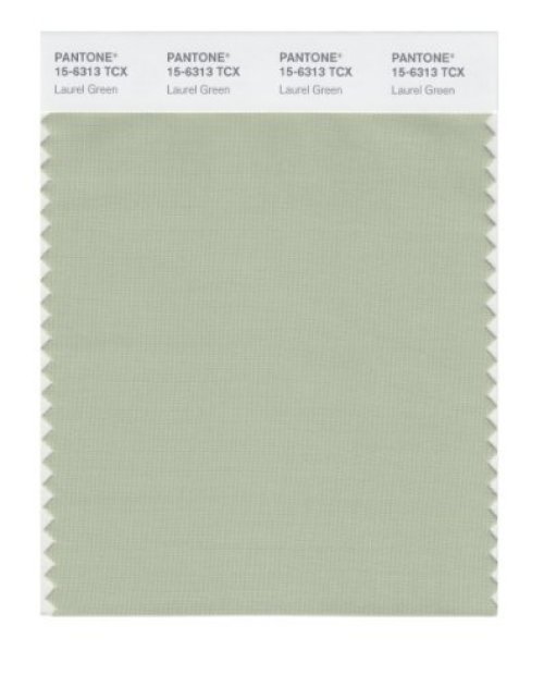 Laurel Green Color Swatch Card