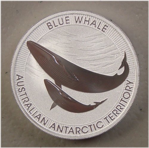 Blue Whale Silver Coin