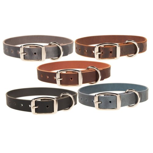 Amish Leather Dog Collar