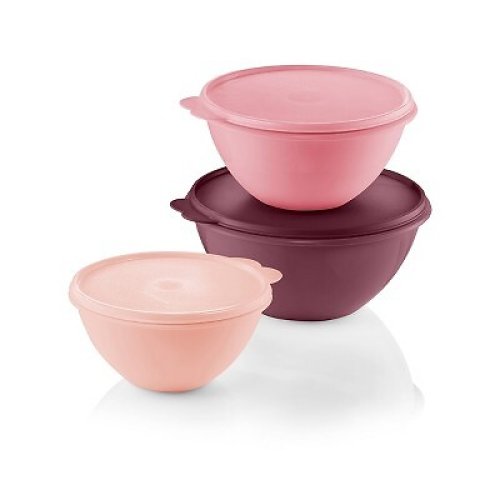 Wonderlier Plastic Bowls