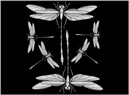Dragonfly White Fused Glass Decals Set
