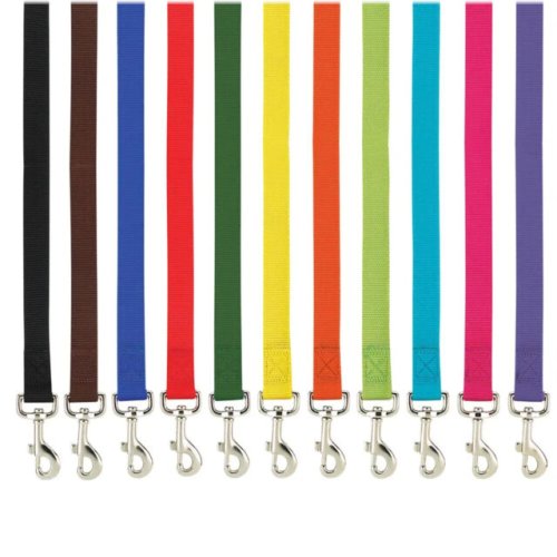 Nylon Dog Leash Collection by Casual Canine