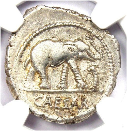 Julius Caesar Silver Elephant Denarius Coin - 49 BC