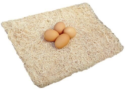 CozyNest Poultry Bedding Pads - 10 Pack, 13"x13