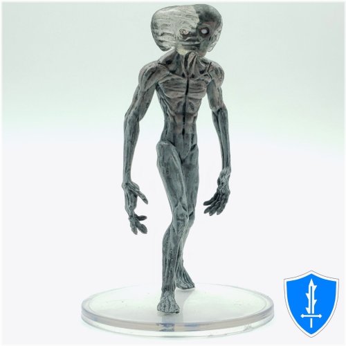 Radiant Citadel Warriors