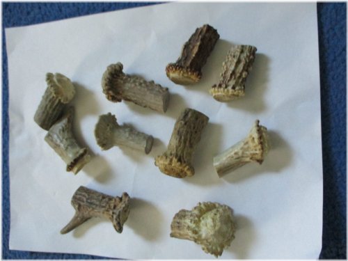 Wilderness Craft Deer Antler Drawer Pulls