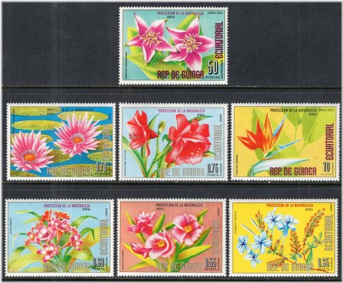 Floral Treasures of Equatorial Guinea