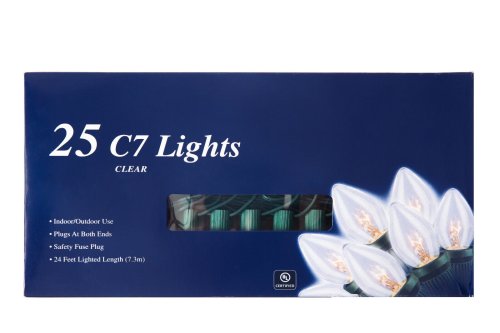 Frost Glow Holiday String Lights