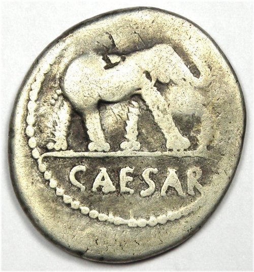 Julius Caesar Silver Elephant Coin - 49 BC Good Fine