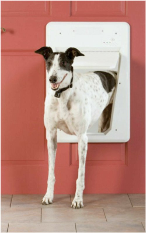 Pawsome Passage Smart Pet Door