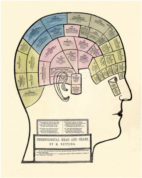 Phrenological Head Chart - 1857 Medical Poster