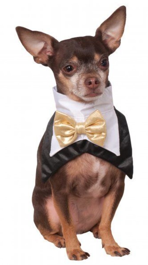 Dapper Pup Tuxedo Bandana