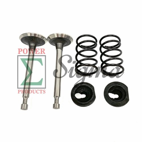 Predator Valve Spring Kit