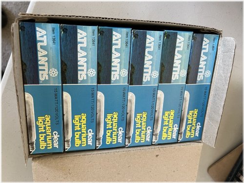 ClearGlow 15W Bulb Pack