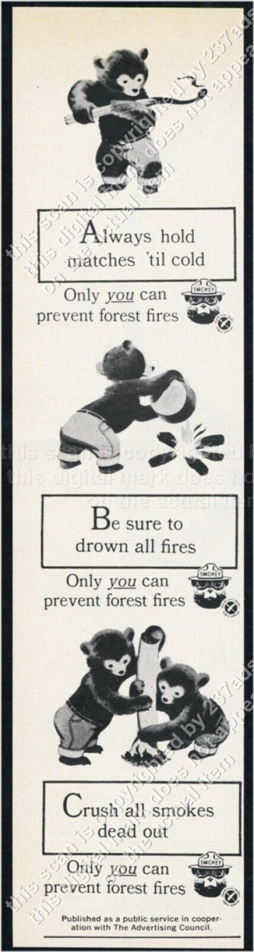 Wildfire Prevention Heritage Print