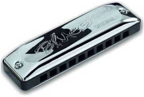 Global Melodies Harmonica Set: Explore the World's Sounds with Seydel Blues Session Standard