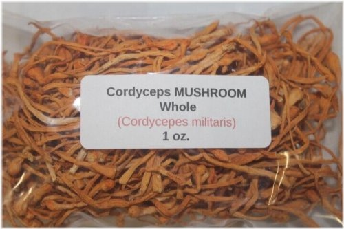 Cordyceps Militaris Whole Mushroom Extract