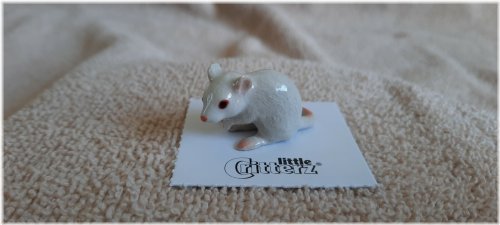 Tiny Whiskered Wonders