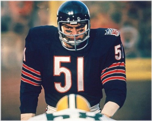 Chicago Bears Legend 8x10 Glossy Photo