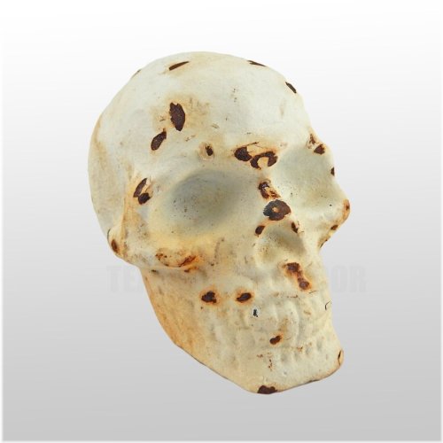 Rustic Iron Human Skull Figurine