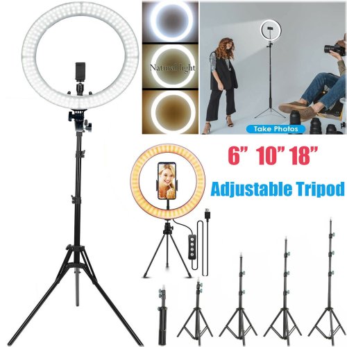 Radiant Studio Light with Adjustable Tripod Stand