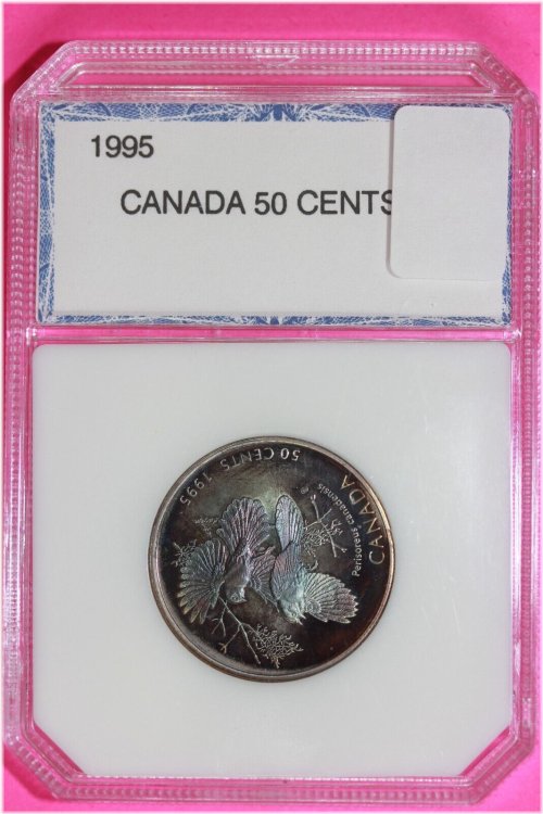 Northern Spectrum 1995 Maple Leaf Silver Half Dollar