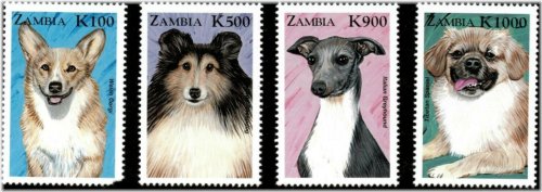 Zambian Canine Collection